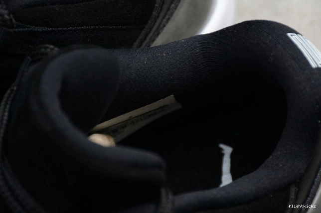Air Jordan 11 Low 